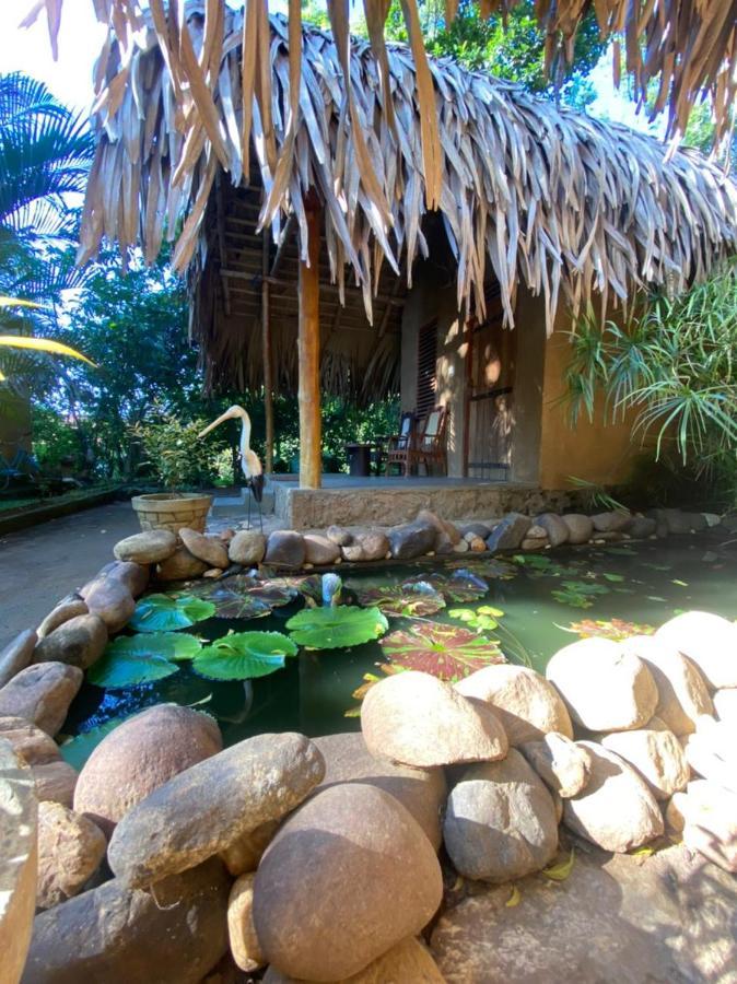 Private Organic House Bed & Breakfast Udawalawe Bagian luar foto