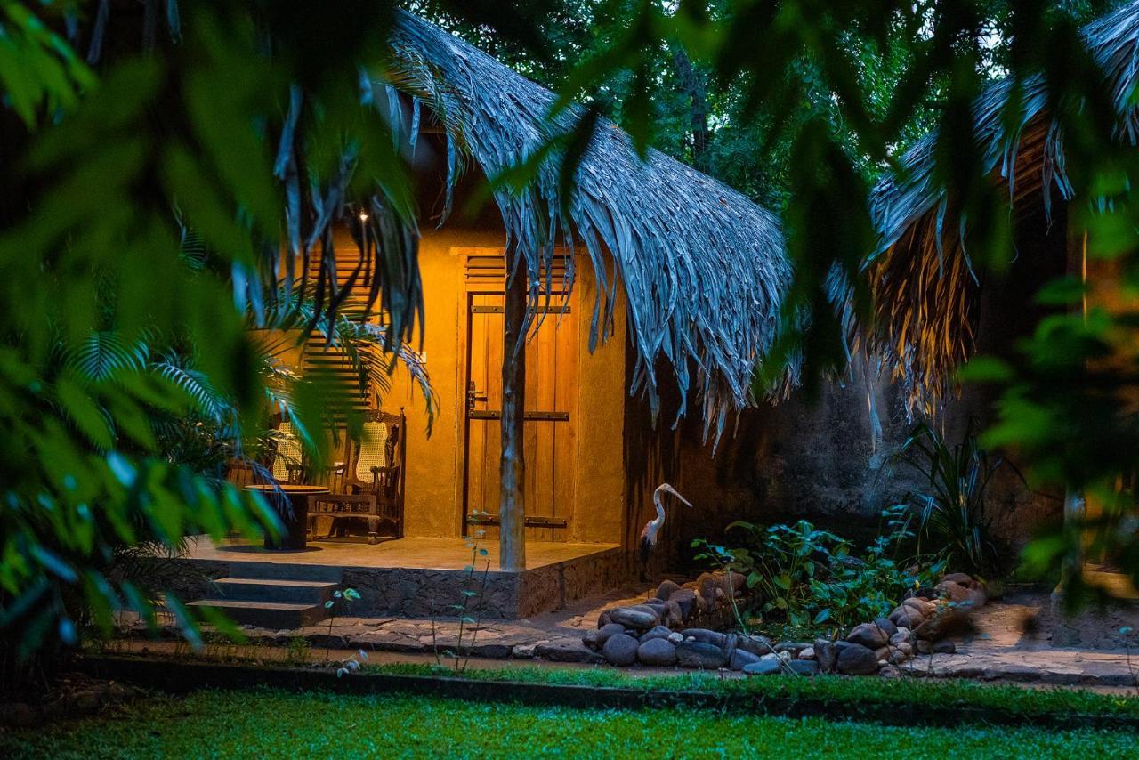 Private Organic House Bed & Breakfast Udawalawe Bagian luar foto