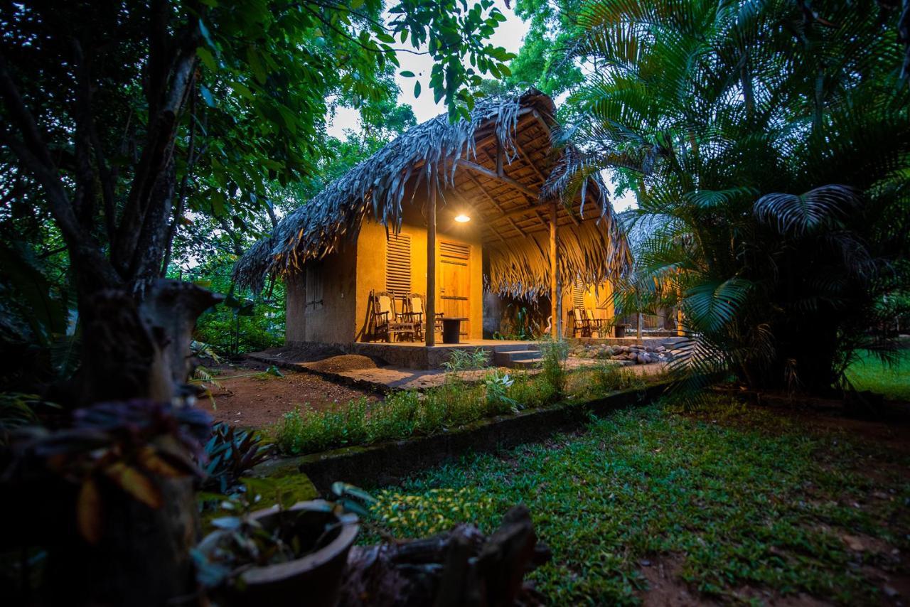 Private Organic House Bed & Breakfast Udawalawe Bagian luar foto