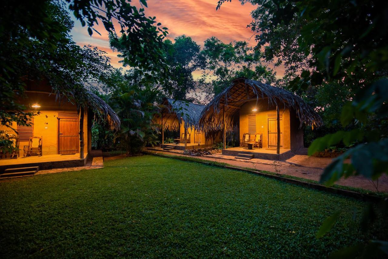 Private Organic House Bed & Breakfast Udawalawe Bagian luar foto